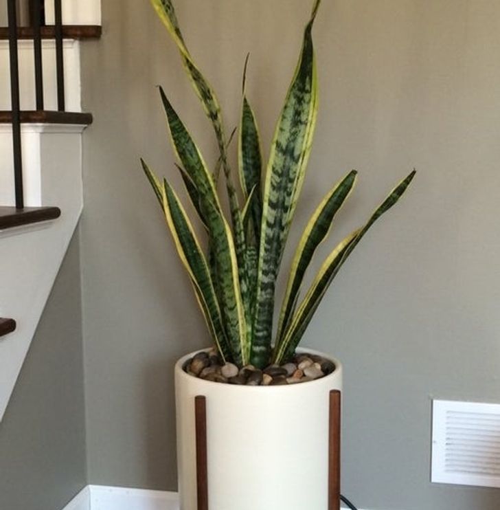 f0e2685856934a724b69352bc5