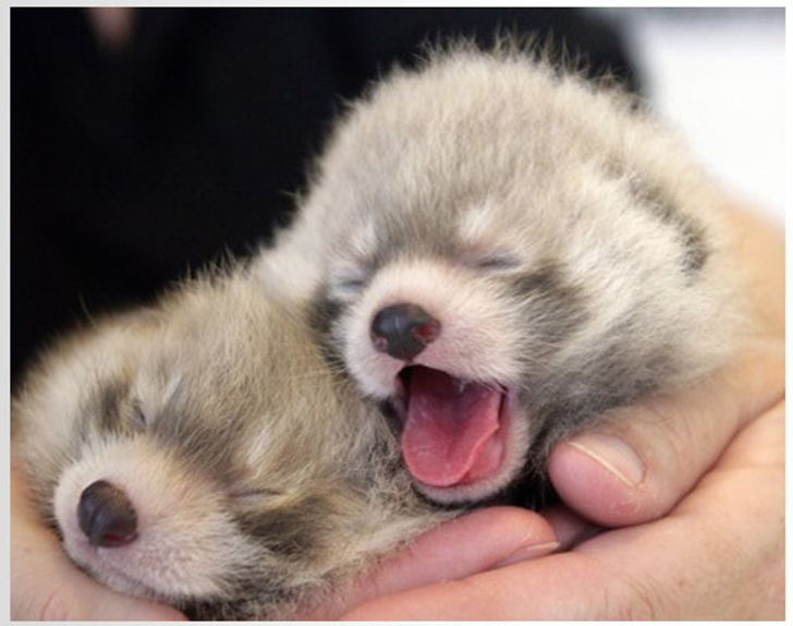 f0ecad546aa032f29bdc40167c