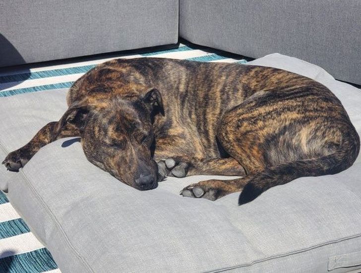 f0ed945bf2b19e4757b75a0956