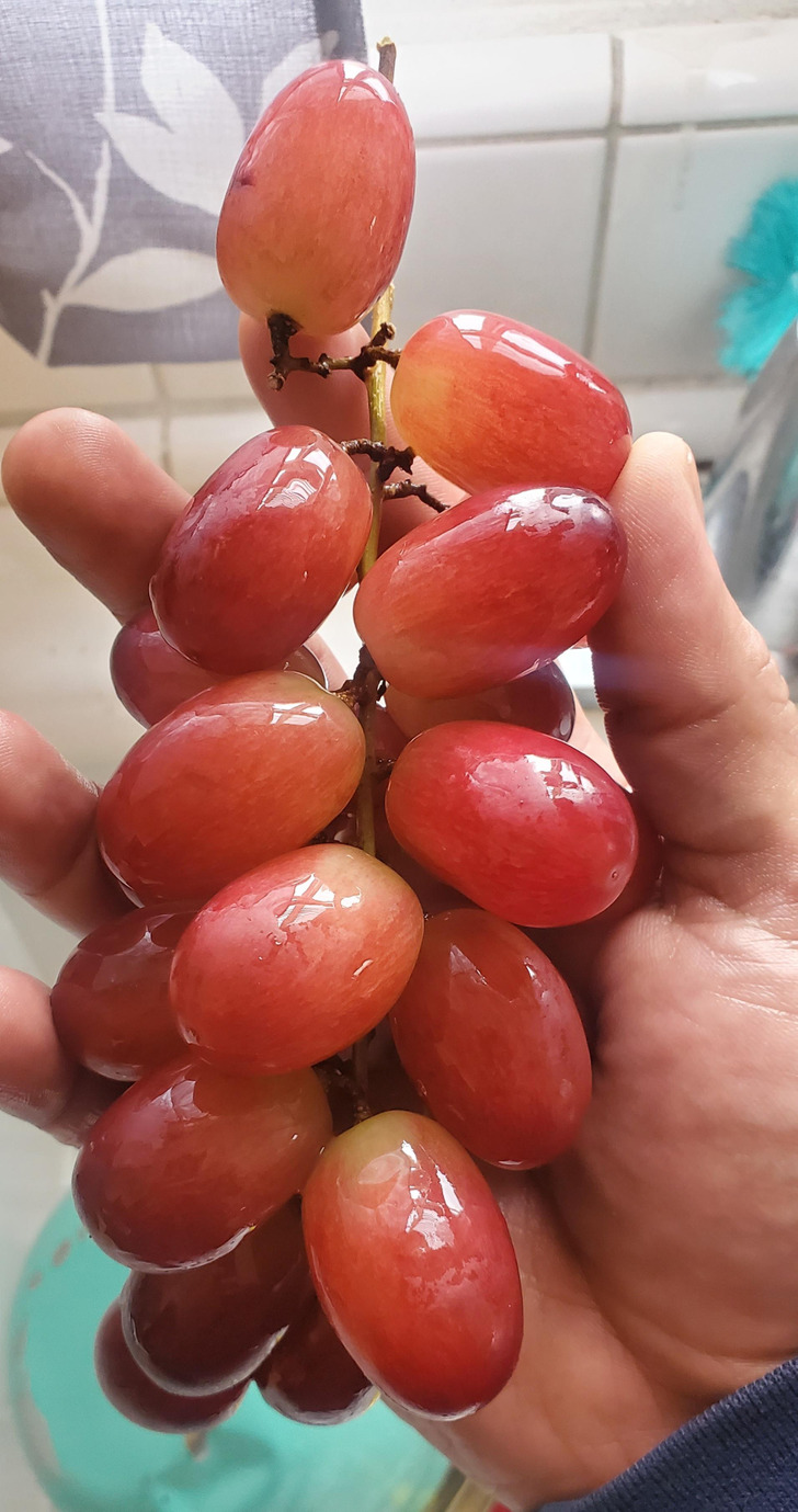 f0f7435c6d9639ed692006917e