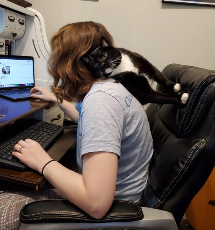 f0f7d95610a238d5596b178290