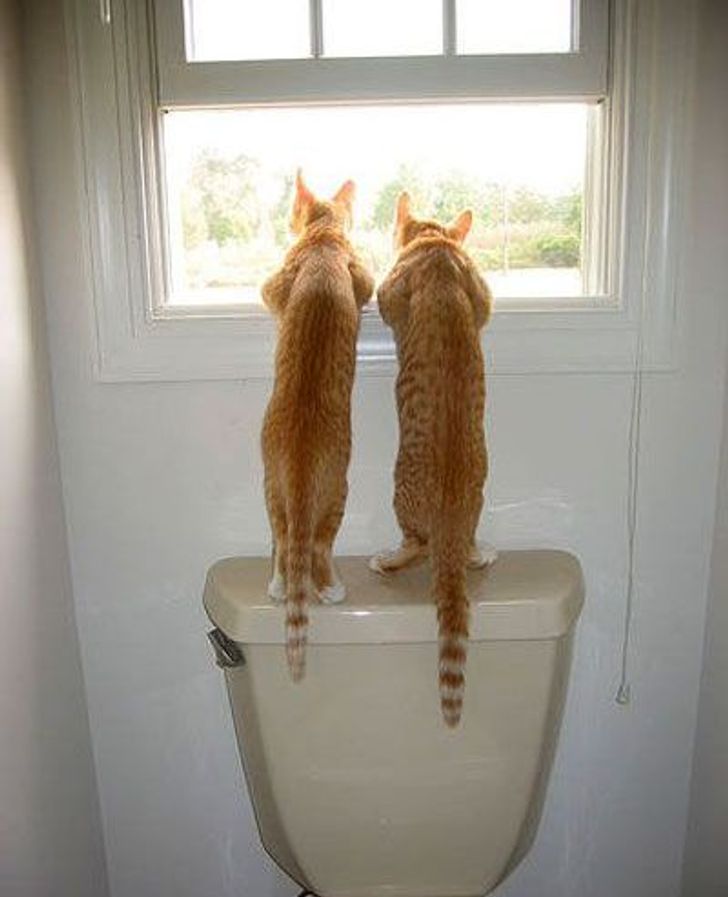 f0fd8c566e8dc3d277d5ae8f7d