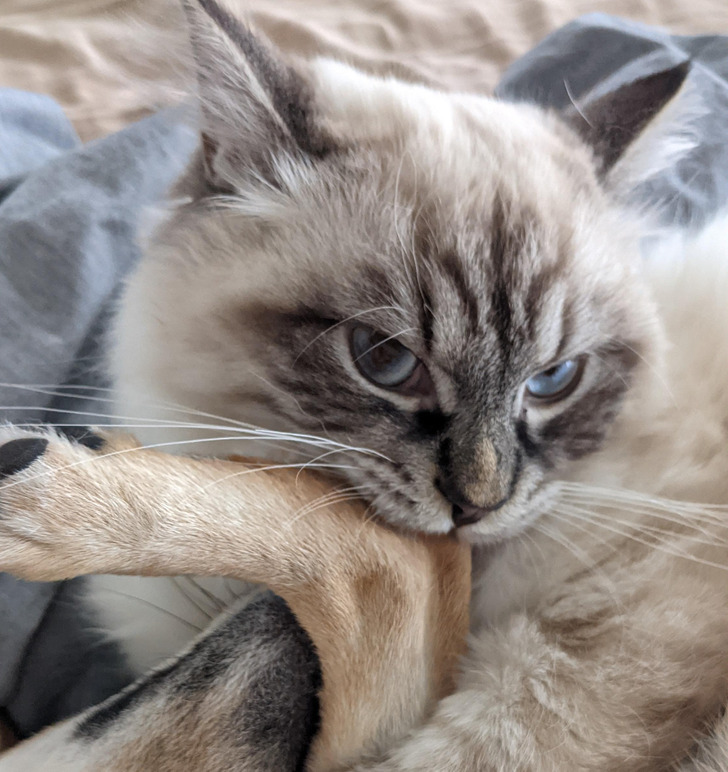 f0ff085cfab9a7080e9448ba95