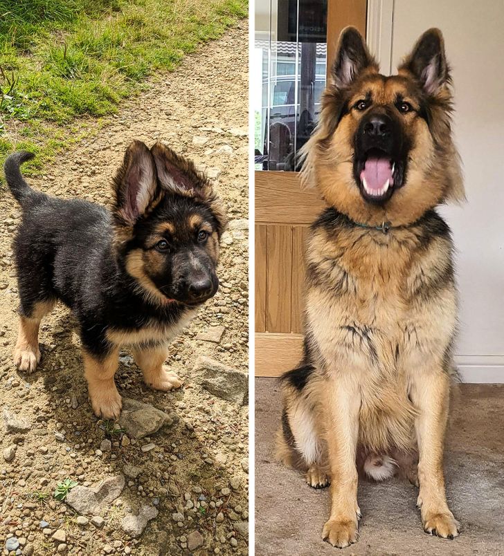 f0ff7e5cc3bf7094c65c960f70 f0ff7e5cc3bf7094c65c960f70