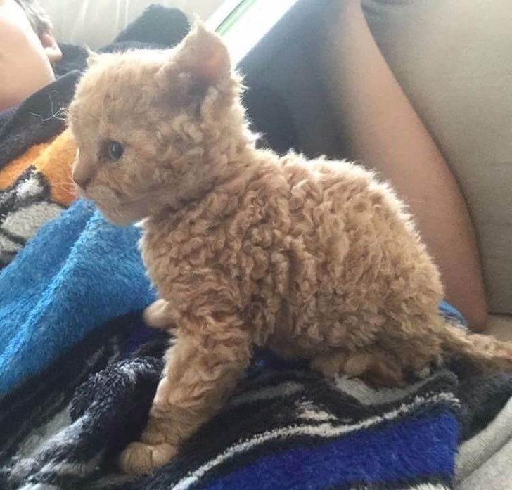 f107575ce3bcb9e0ac7d034f88