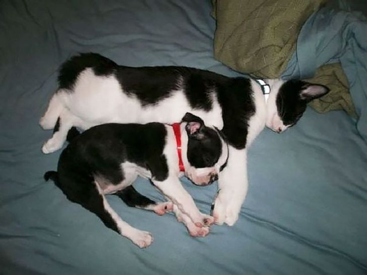 f10a4853d694b875b5c563a041