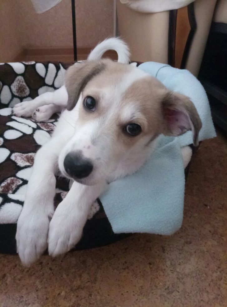 f1112453528275351e559e6eec f1112453528275351e559e6eec