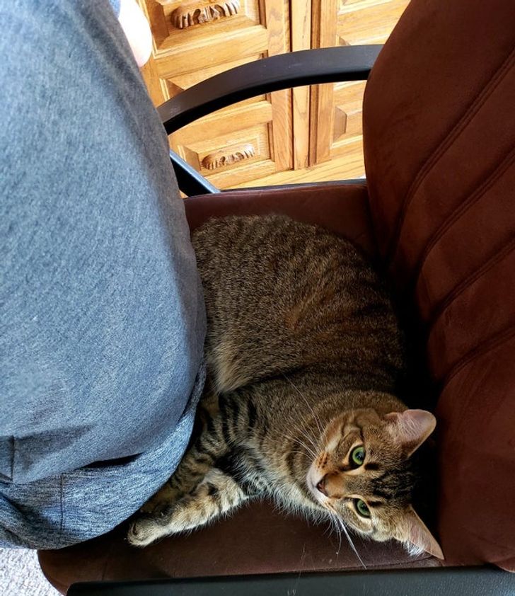 f1129e579e81c76223e5090ada