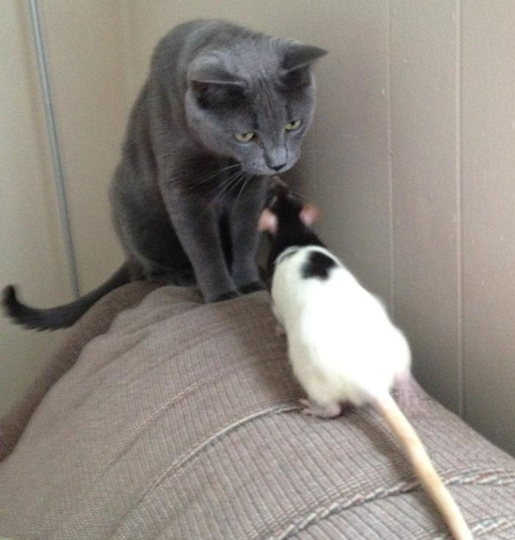 f1181056a5b63ab3e779e36b94