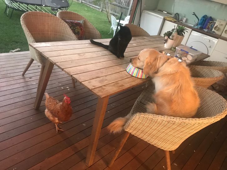 f11b3e583c9165edb6a033af04