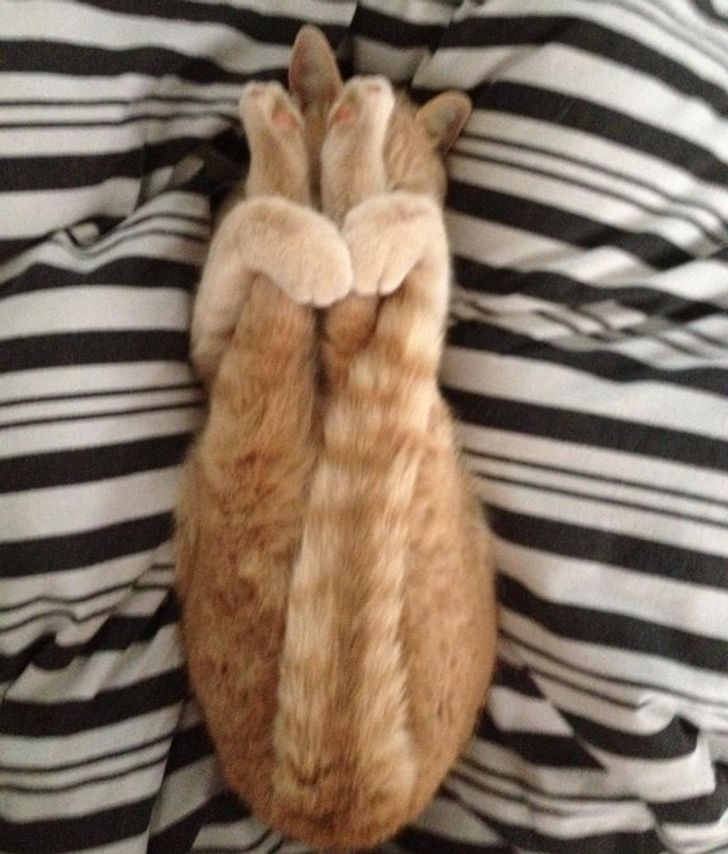 f120955570b9aaceda97677404