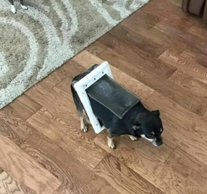 f121b65065a349897c4dea007c