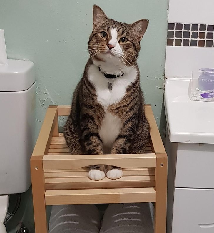 f12424553aa4e56f6062be90c0