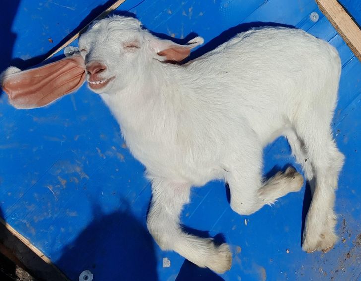 f1291e5f1a9b360fdd228829e5