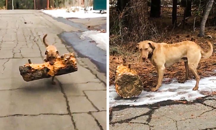 f12aa85e7f991ef06178e3149f