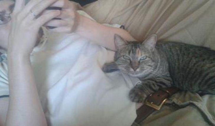 f12f2c5fc087a70508fa1f6405