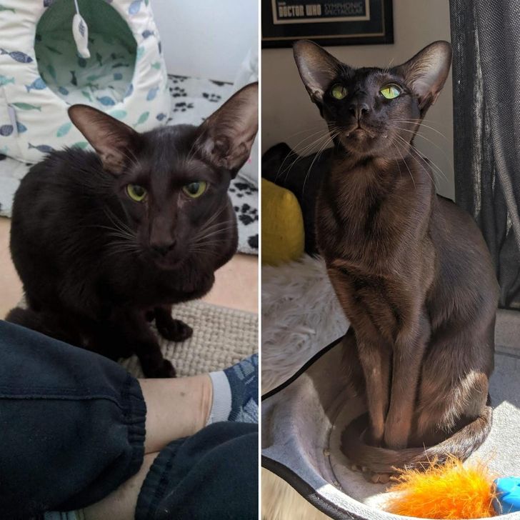 f130ec54ab9f211d1e7d16d738