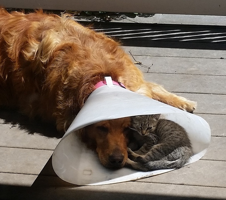 f13a5657f4909d51a460a2bd19