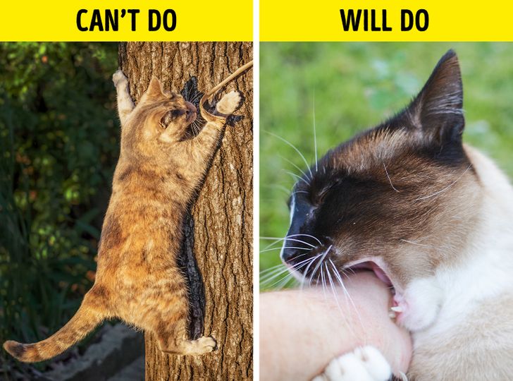 f1469b54cd8e3585538f78d021