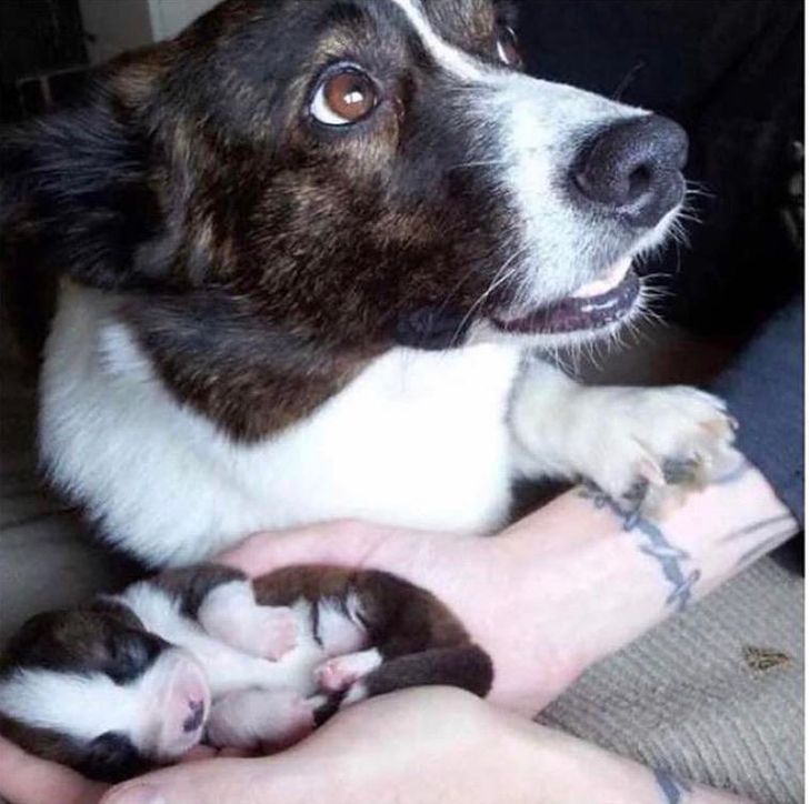 f14abf5122aeb6d235d9c3e790