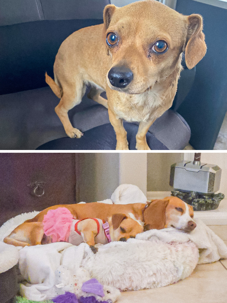 f14c1c591d8a0bf7c6bfa26fb4 f14c1c591d8a0bf7c6bfa26fb4