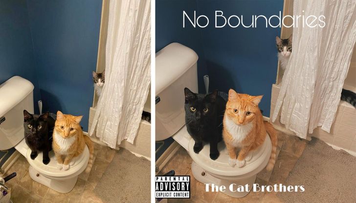 f14d7c546db99f00241f6db064