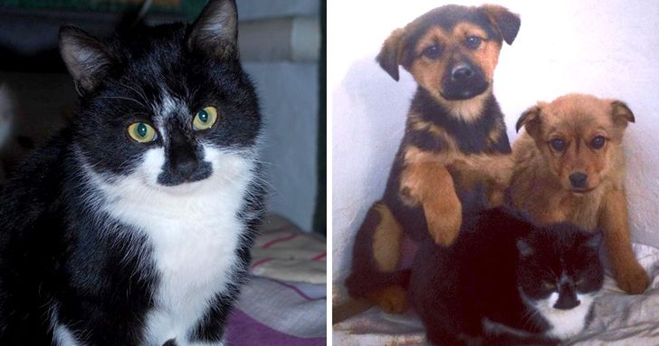 f15813512ca37d63853a0fc707