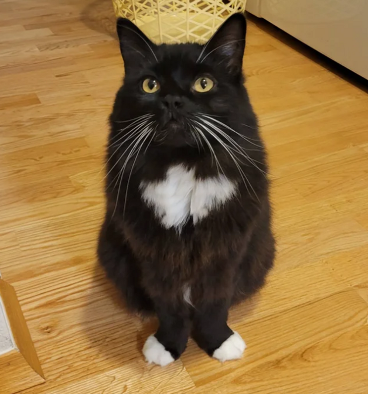 f15b2152758a4bb107e23a2143