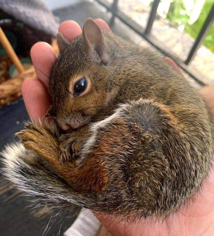 f166f75853be574f9841938553