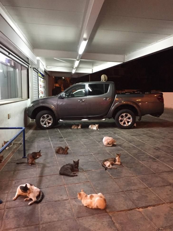 f1676057c4a09ab81d0eb3fcbc