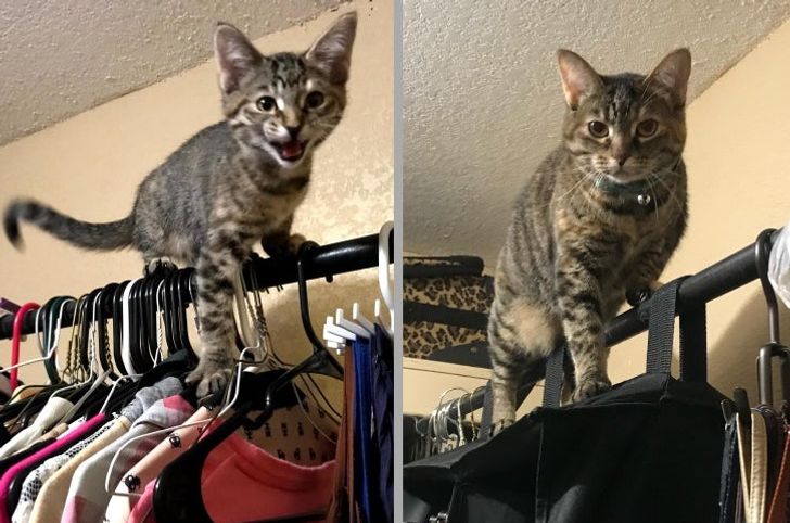 f1711b5d3296b940c991cb0d91