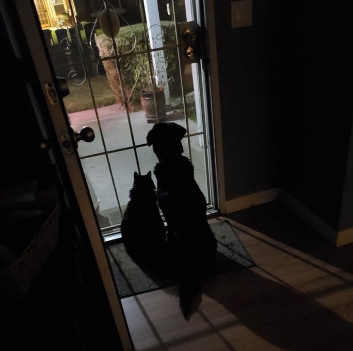 f172295958a230758397d08603 f172295958a230758397d08603