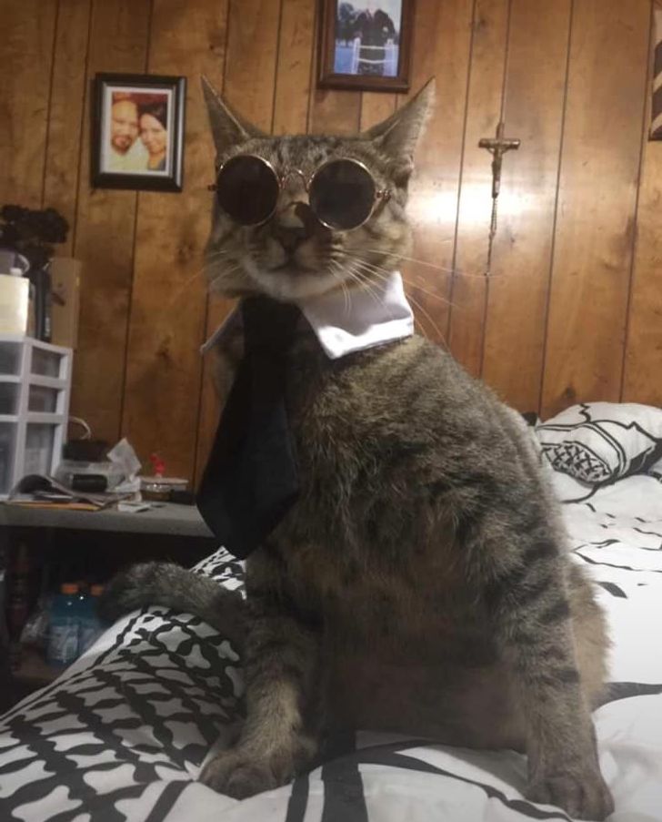 f172a35403963ebed0713e7a56