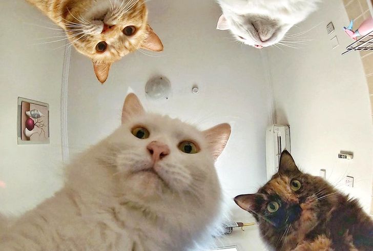 f176fd57f99071cc9e261c9229