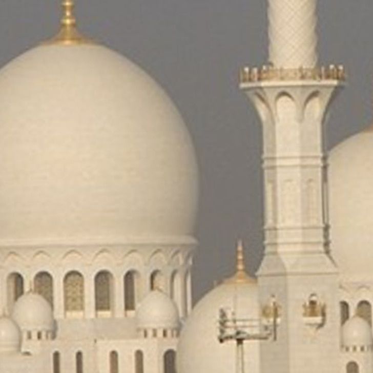 f1772b5ff28cb9391a3fafed4d