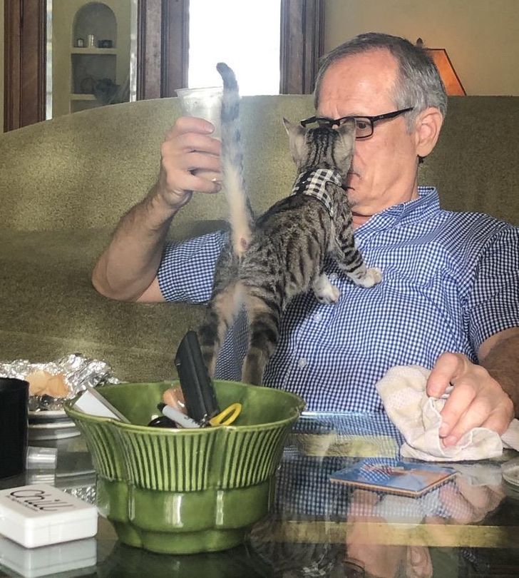 f179745ff996534925680e4d60