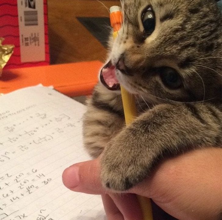 f17ac458a28bcadf6e516a351a