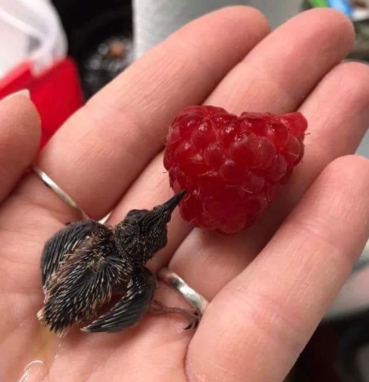 f17af25b2c9684ca6f53d8da7f