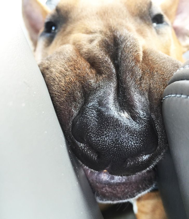 f17b475615a2c52735fdce4c2d