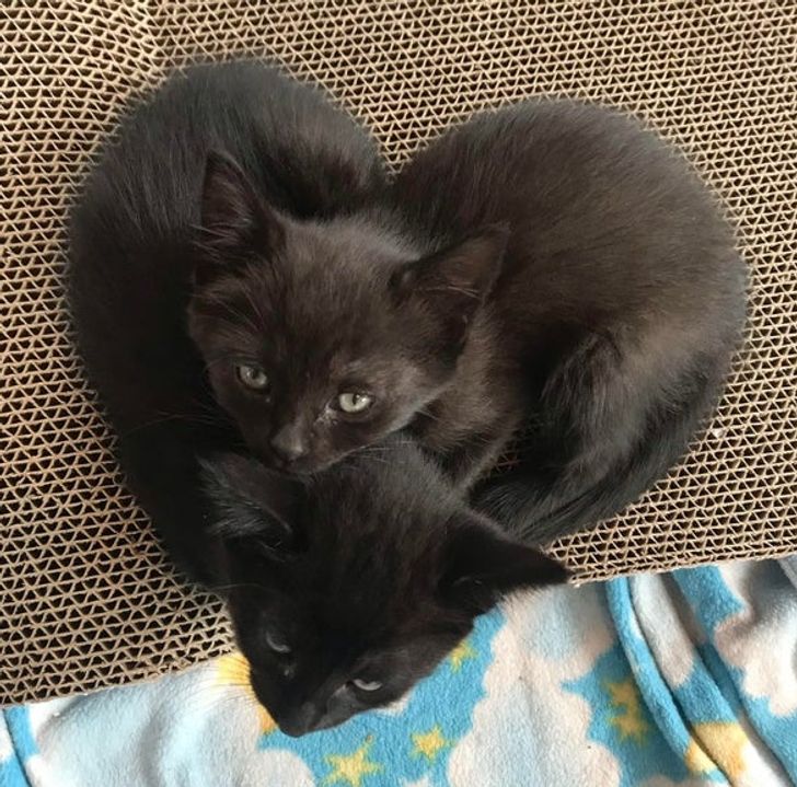 f17cbf55e293bc95f29e0a0001