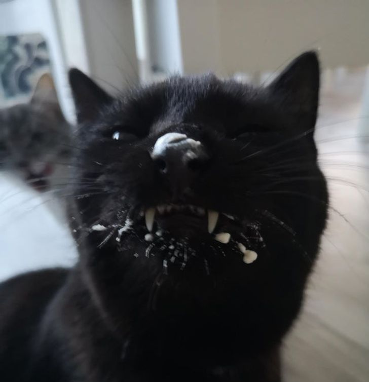 f17d46556bbd69728b05b8a820