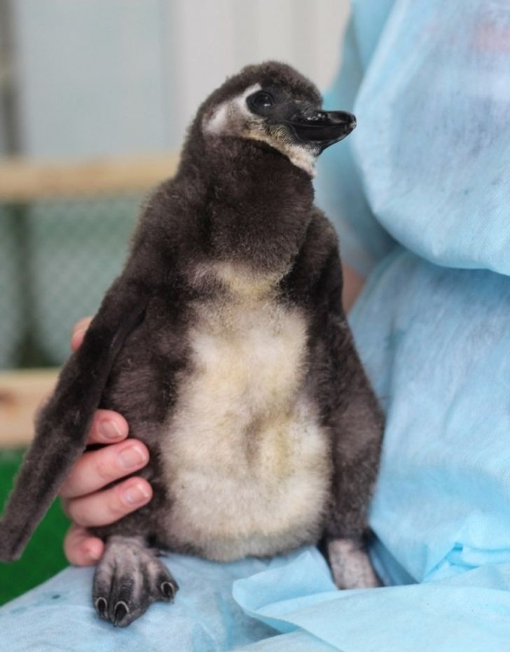 f17ec75f48b639f80d5e0d7583