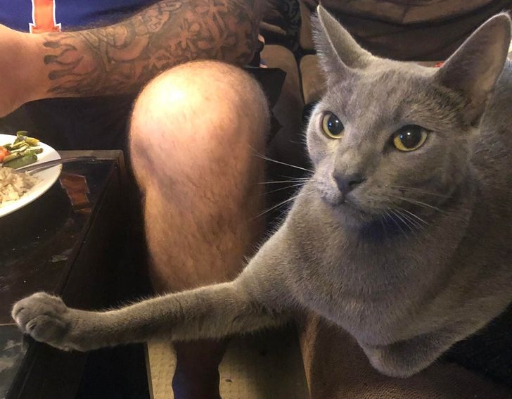 f1882c50c2a6ef96b6750ac4dc