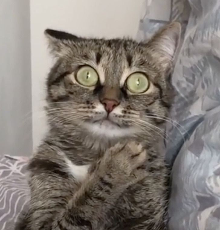 f1a21b53dfabacfd559a56e694 f1a21b53dfabacfd559a56e694