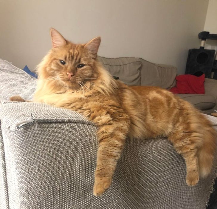 f1a9cf58ffb7c4828c1d29e171