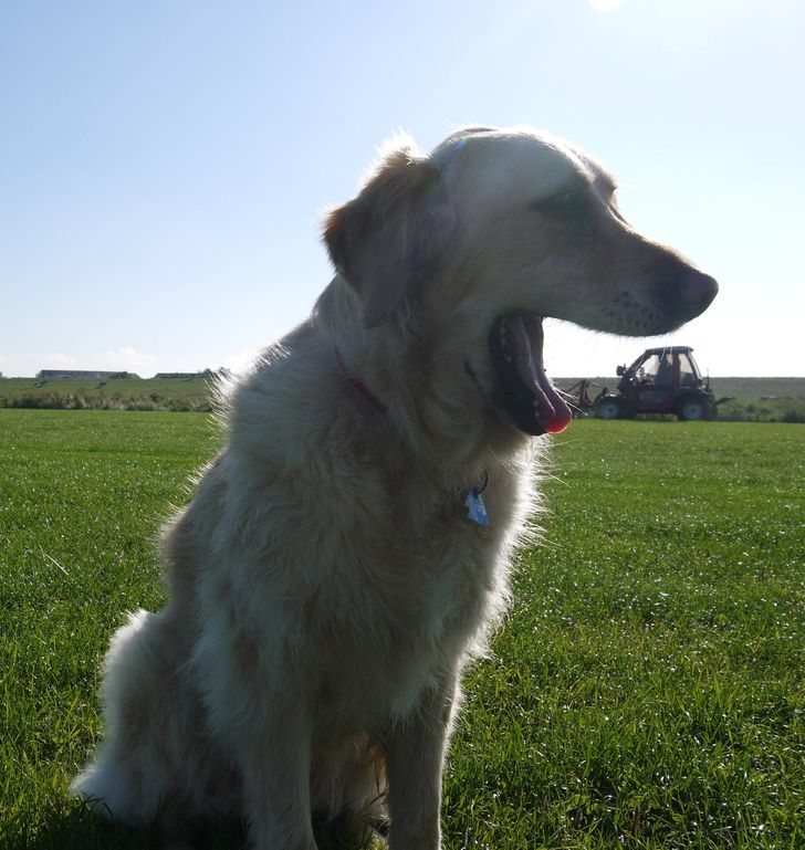 f1b81a5dbd98d7cab975f1f4ea