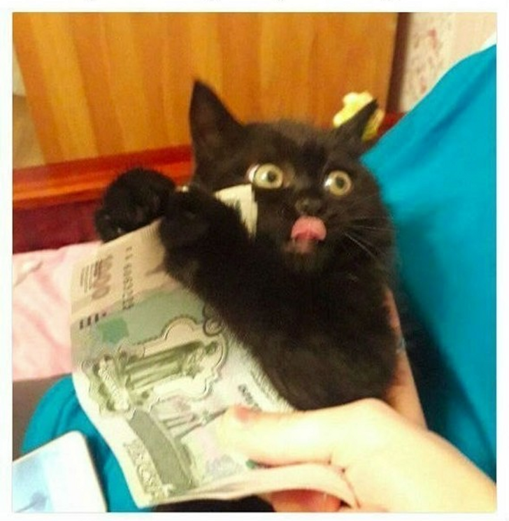 f1c476561fac1c5b9a13ae39aa