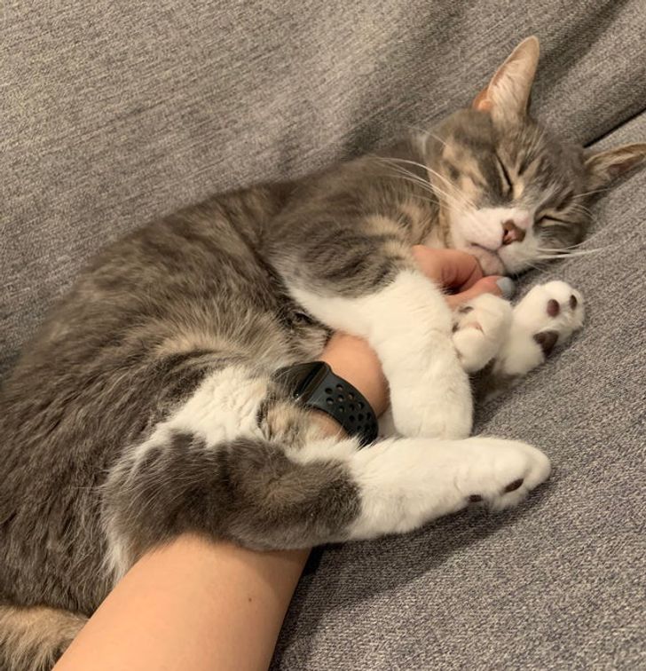 f1c8475859ac93883f7432ad68