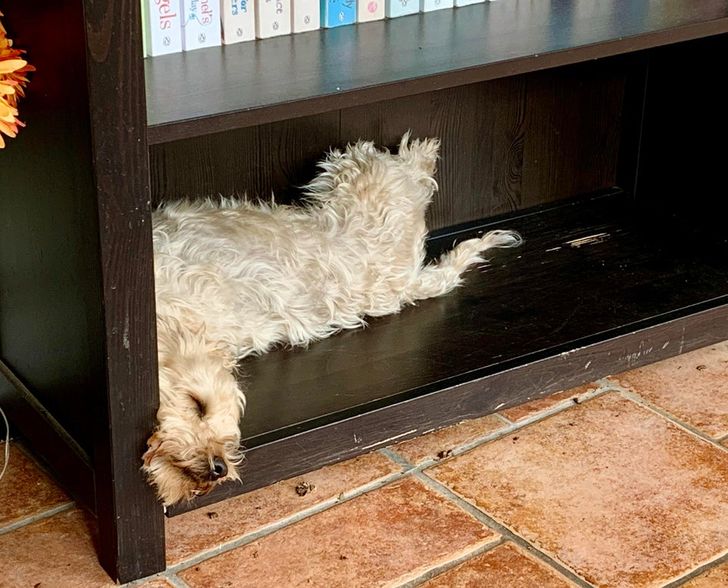 f1ccf552b29b293115e8573066