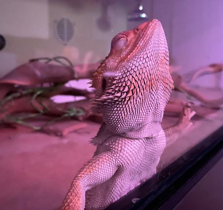 f1d7a156cbbdd23c33594cb722